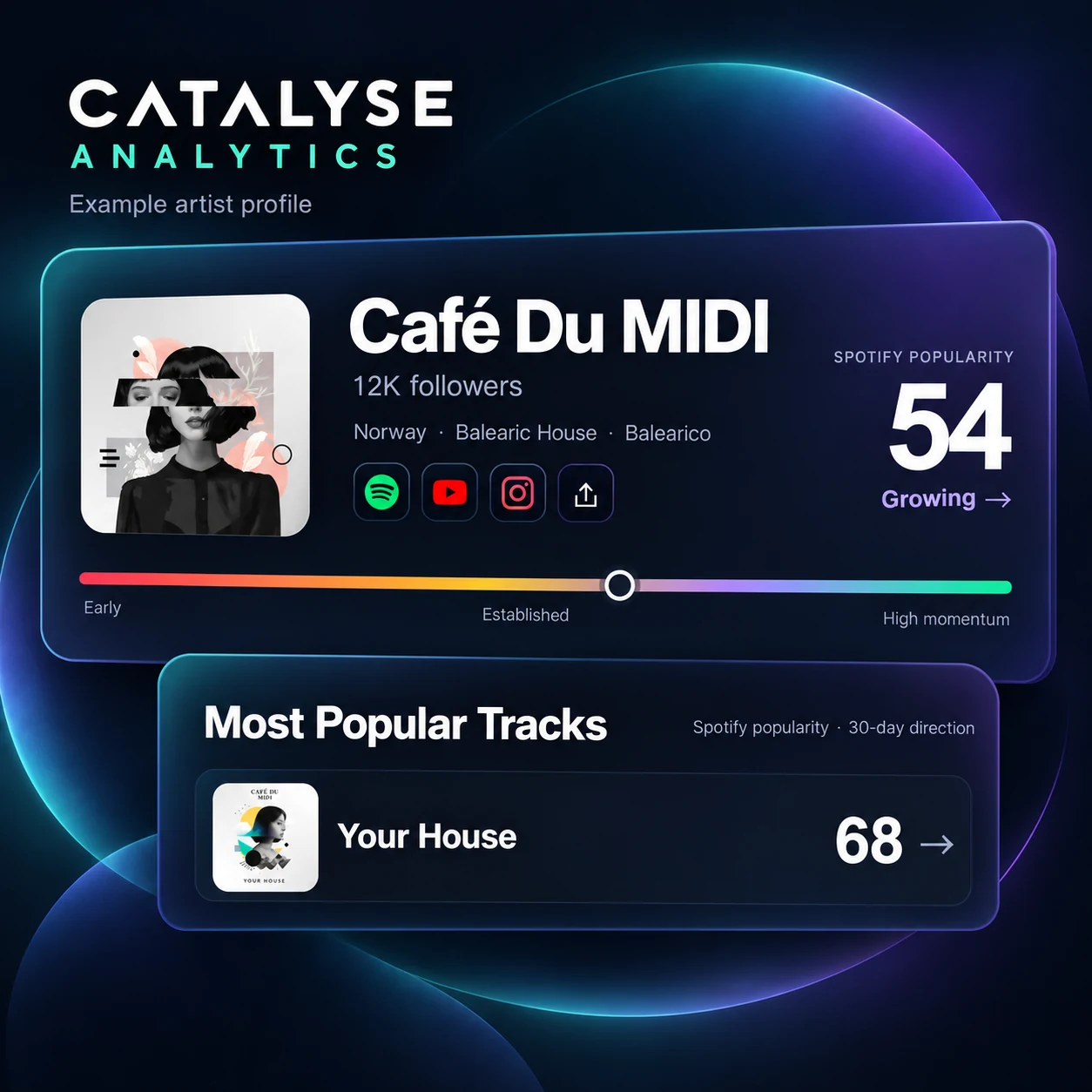 Analytics example artist profile for Café du MIDI, showing Spotify popularity, momentum and the track Your House.